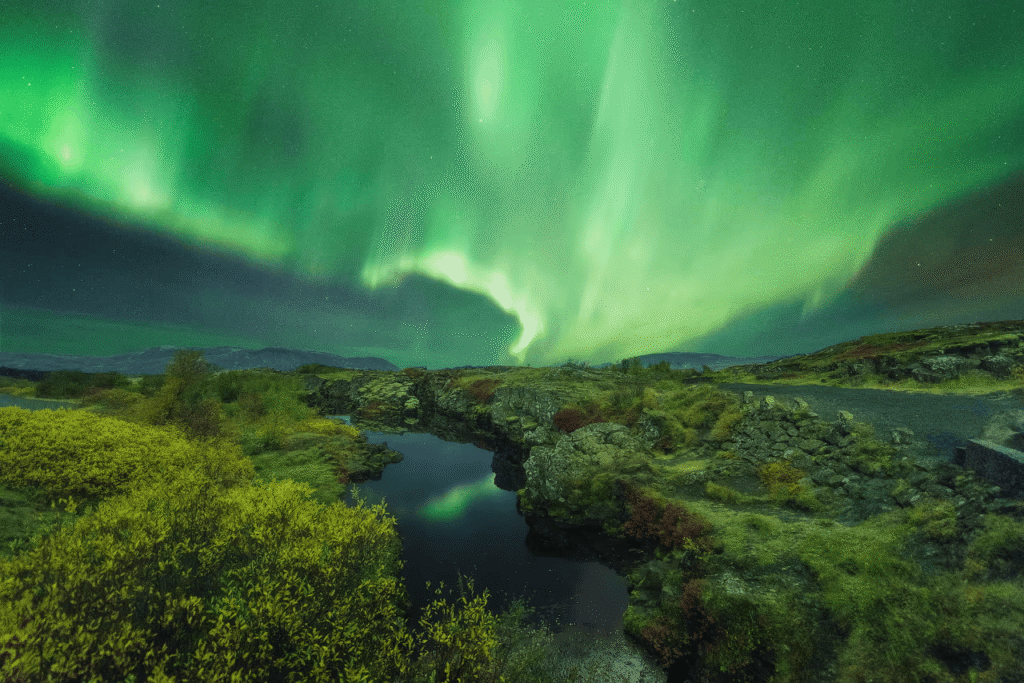 Northern Lights (2) (1)