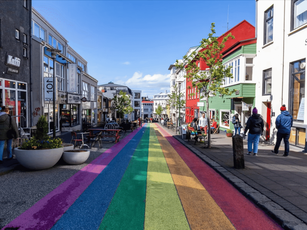 Reykjavik City Tour (4) (1)